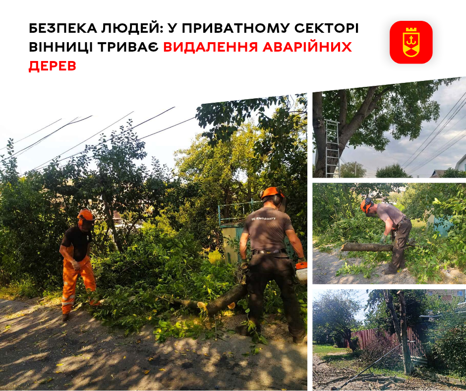Безпека людей: у приватному секторі Вінниці триває видалення аварійних дерев